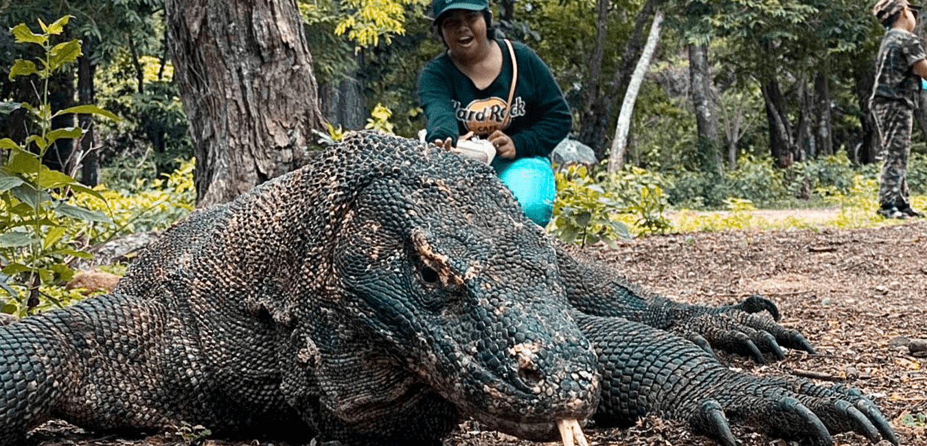 Keiser Nusa Travelindo